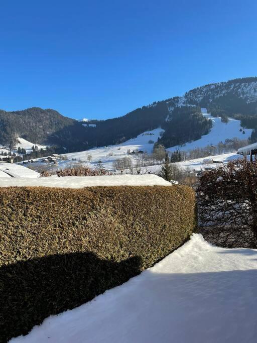 Charmant Studio + Jardin Vue Pistes Et Local Velo Praz-sur-Arly Εξωτερικό φωτογραφία