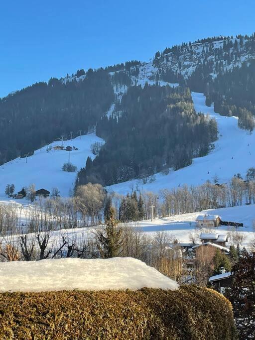 Charmant Studio + Jardin Vue Pistes Et Local Velo Praz-sur-Arly Εξωτερικό φωτογραφία